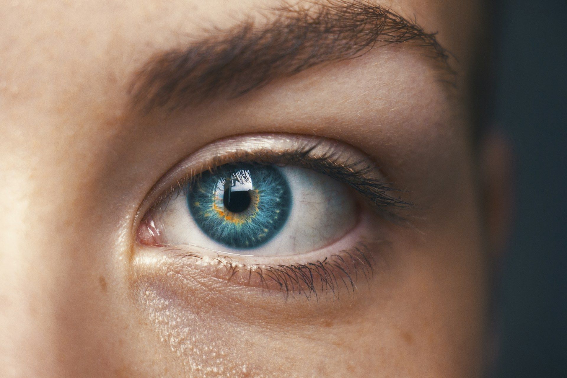 Human eye in stunning detail